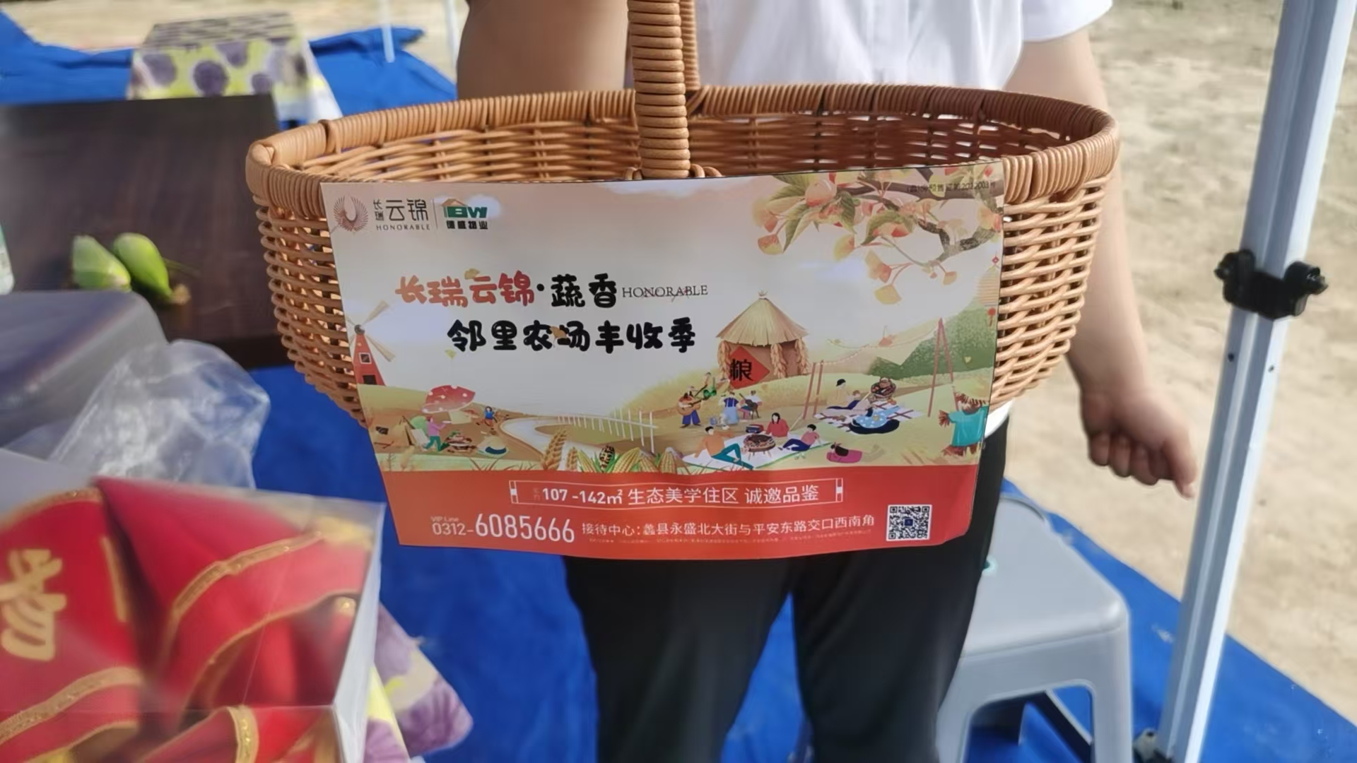 采摘2.jpg