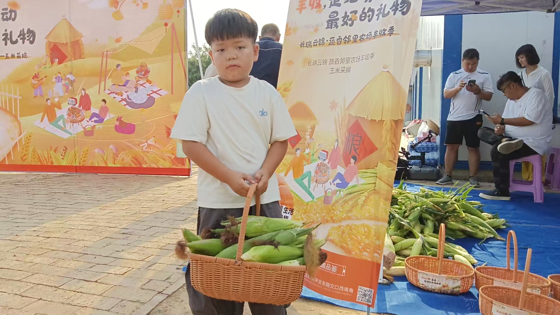 采摘3.jpg