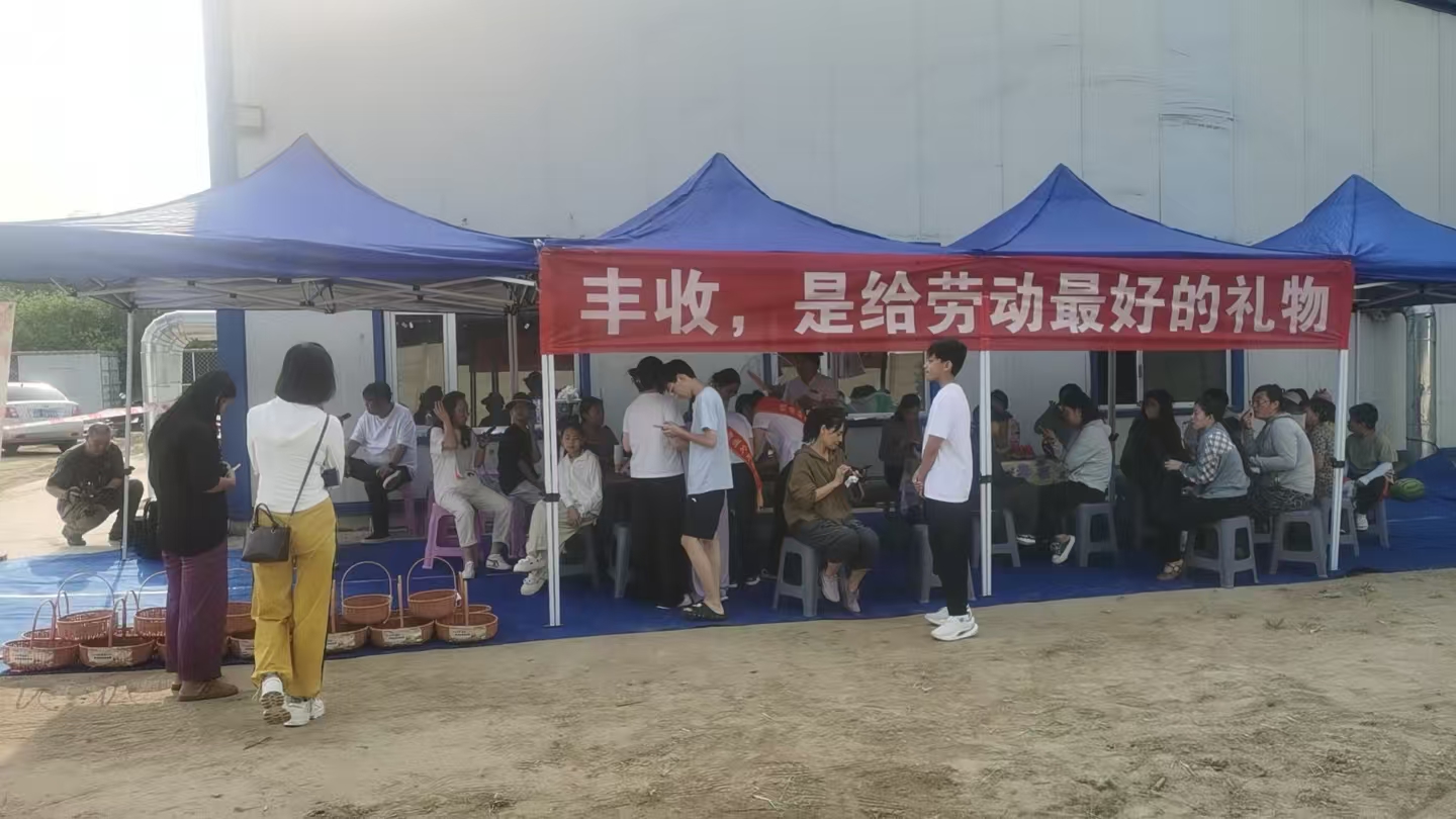 采摘5.jpg