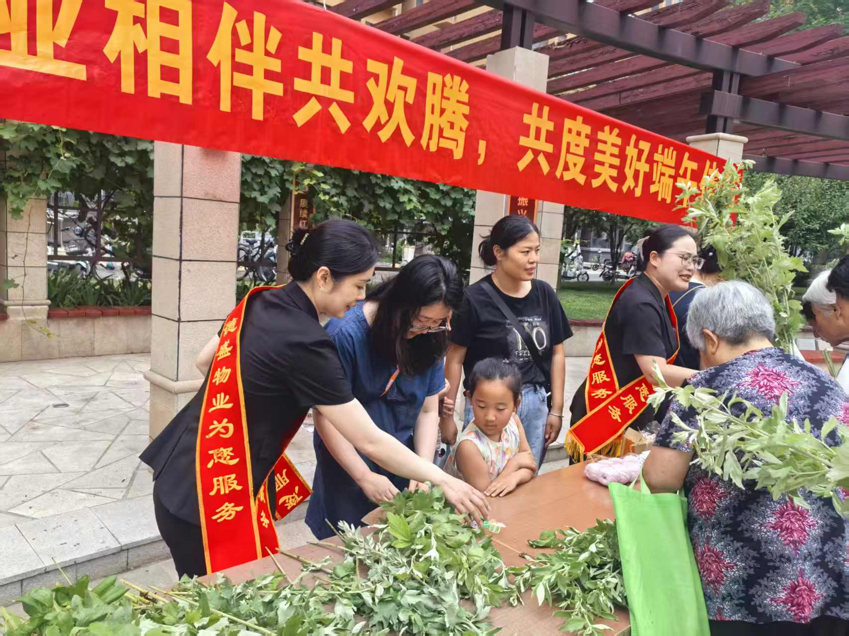 蠡县艾草2.jpg