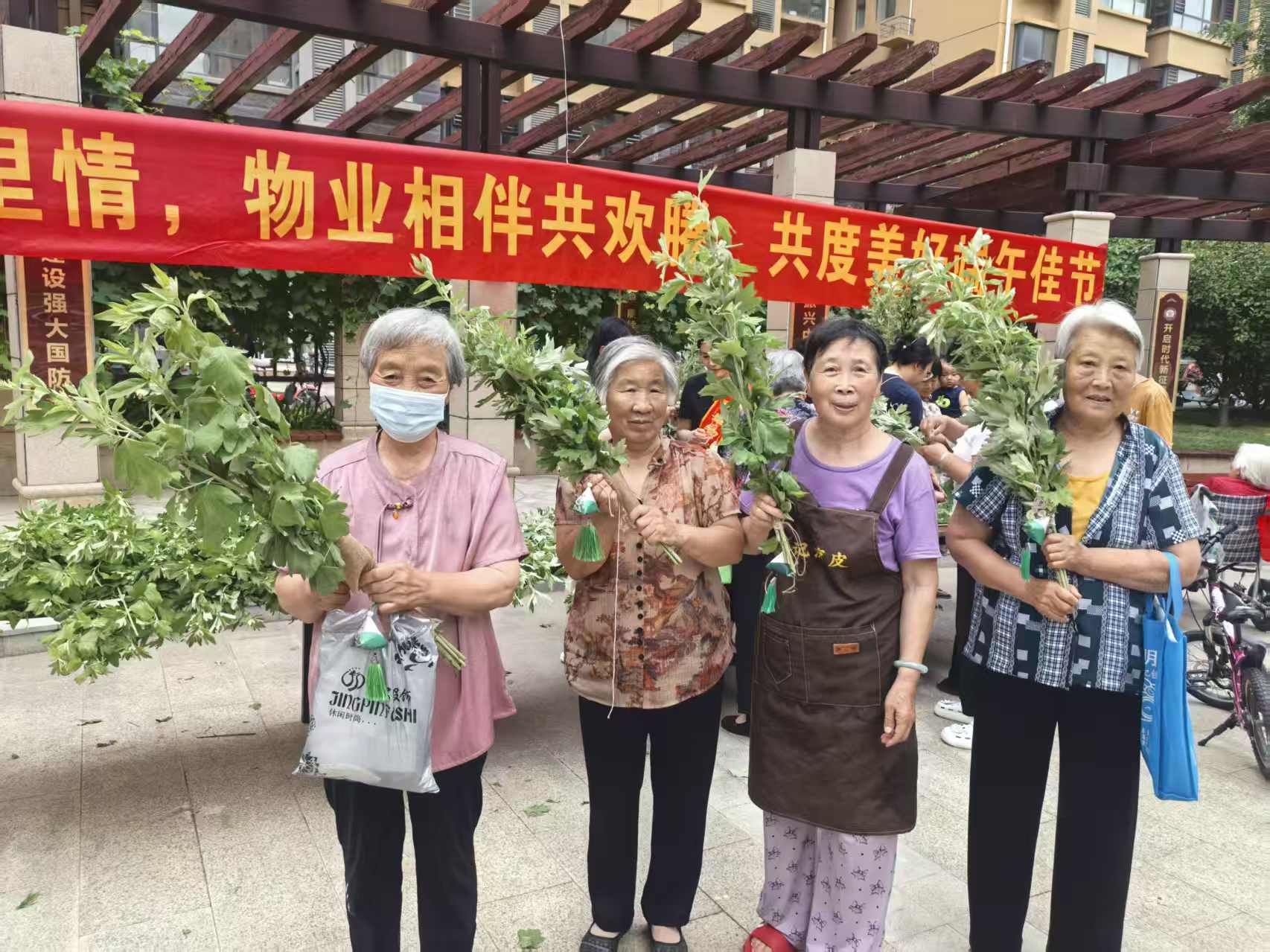 蠡县艾草7.jpg